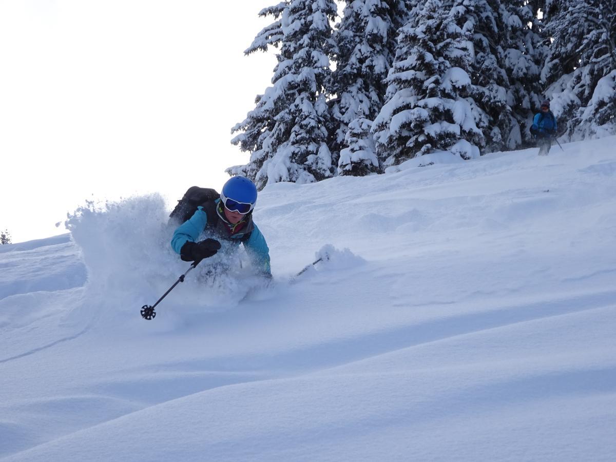 Ski Breezy Chalet Chamonix ภายนอก รูปภาพ